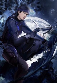 (综漫同人)夜兔也不能追我们老师啊!