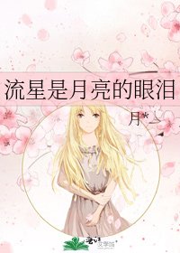 流星是月亮的眼泪